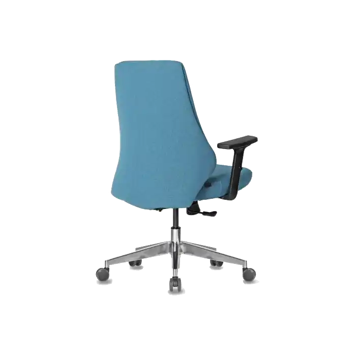 CANVAS TOPLANTI MAVİ MULTİ TİLT